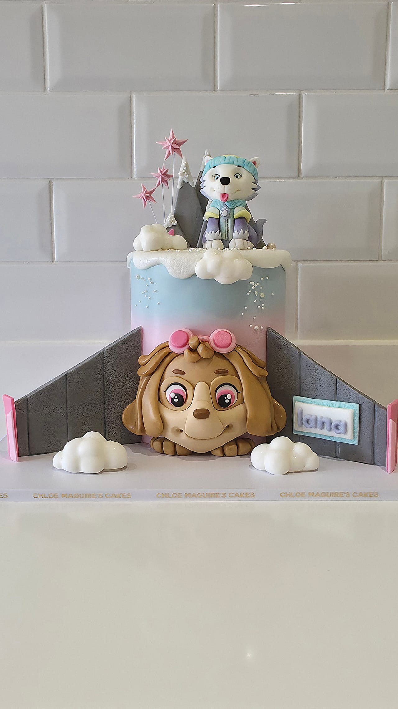 Paw Patrol Cake