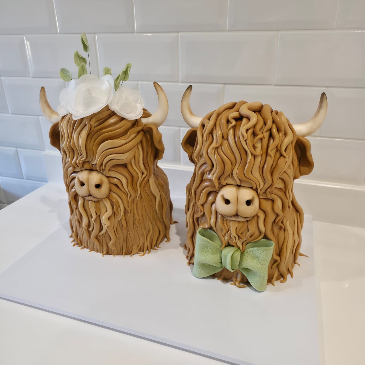 Highland cow cakes