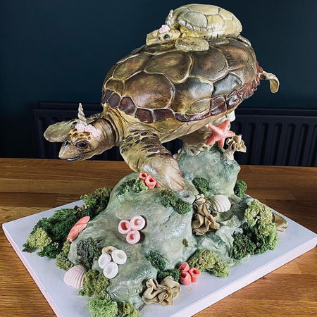 Sculpted Cake - Turtle